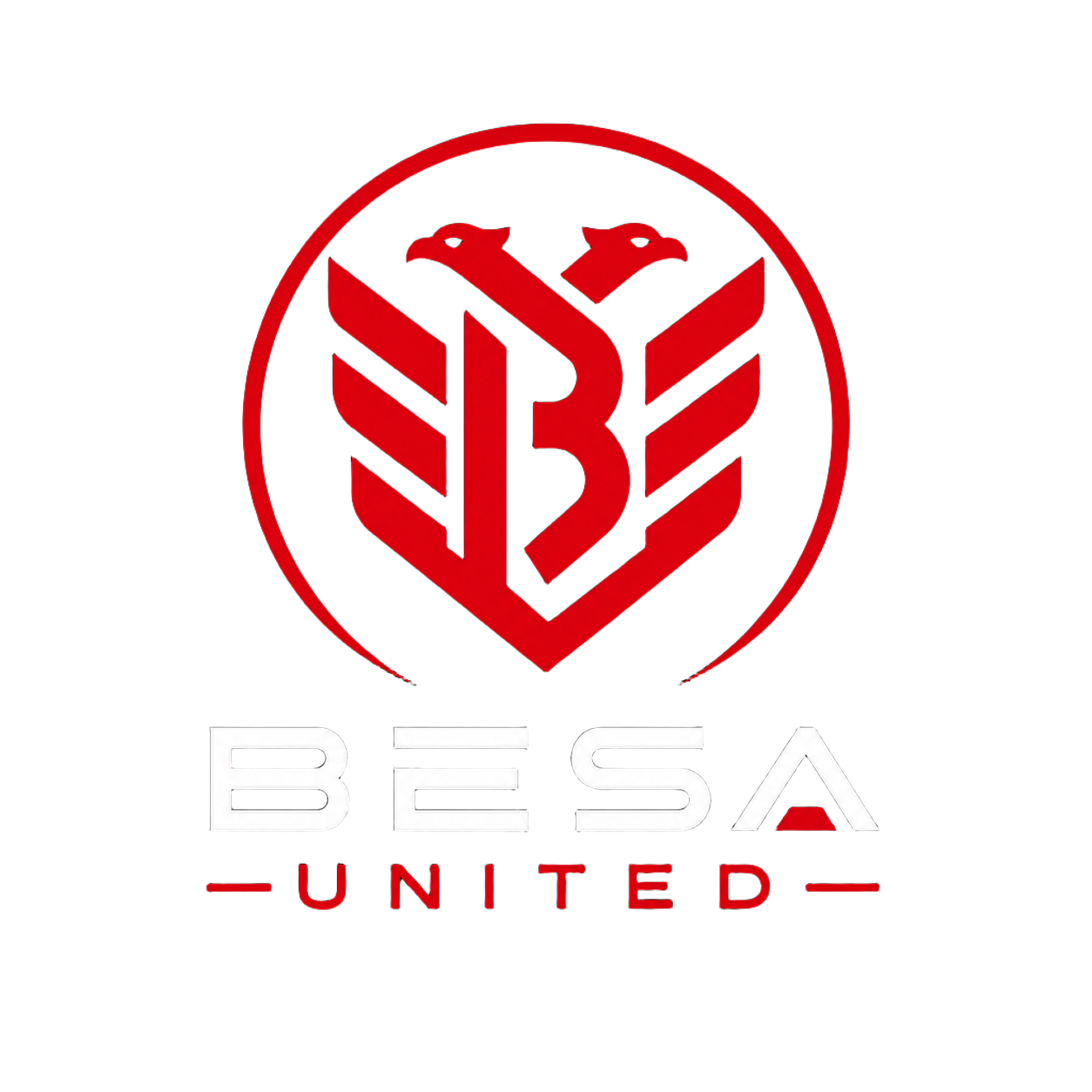 Besa United logo